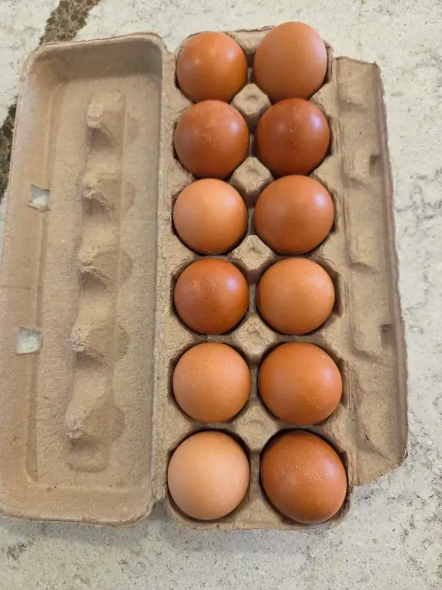 Fresh Brown Eggs