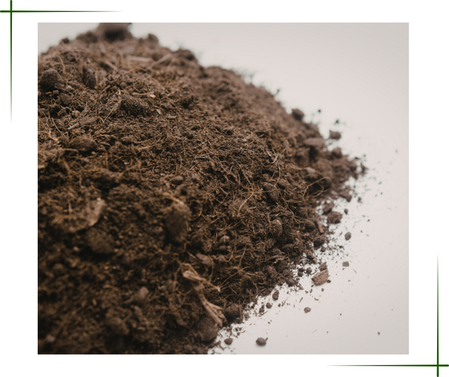 Soil, Compost and Mulch - Photo 4