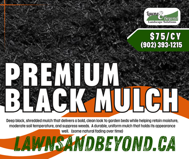 Soil, Compost and Mulch - Photo 7