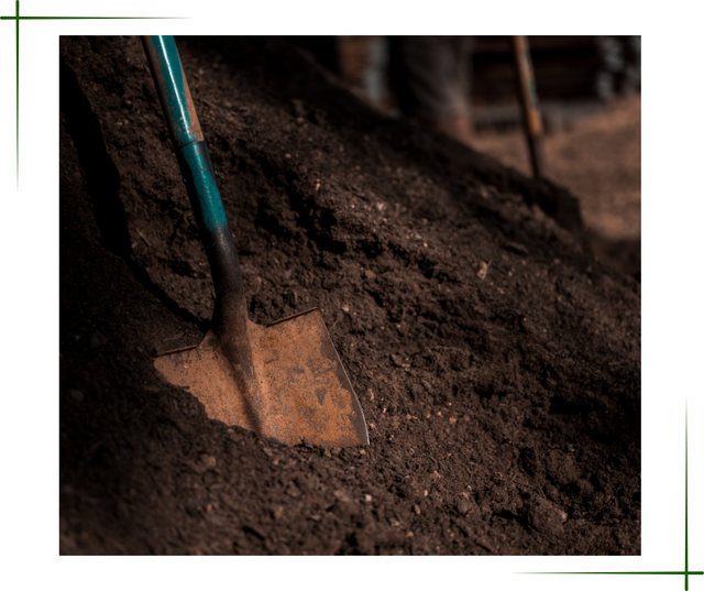 Soil, Compost and Mulch - Photo 8