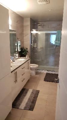 Penthouse 2 Bedroom plus Den July 1 - Photo 13