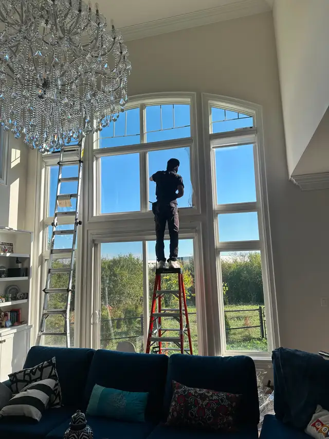 Window Tint for Home & Office - Photo 4