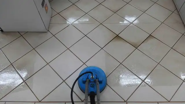 Tile&Grout Steam Cleaner (Brighten Up Grout Joints