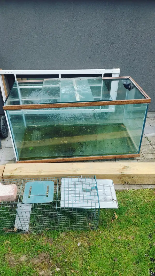 50 Gallon Fish Tank For Sale!