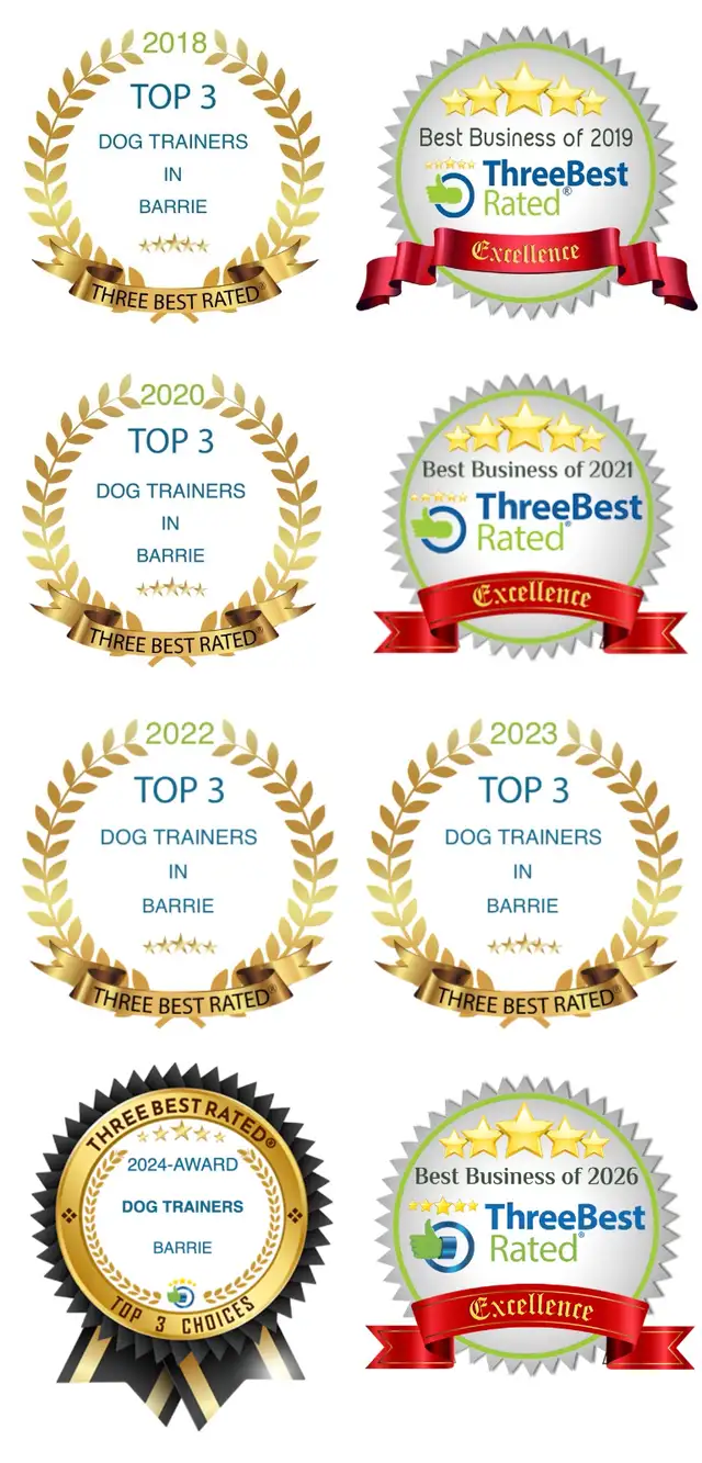 ☀️Summer Boot Camp for Dogs ☀️ - Photo 3