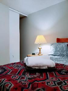 Room for Rent – Ideal for Female Professional or Student - Photo 4