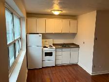 Centretown Bachelor/Studio Apartment for Rent 192 Somerset St W - Photo 7