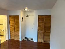 Centretown Bachelor/Studio Apartment for Rent 192 Somerset St W - Photo 9