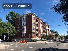 Cozy 2 Bedroom Glebe Apartment for Rent (585 O'Connor St)