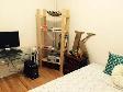 Cozy 2 Bedroom Glebe Apartment for Rent (585 O'Connor St) - Photo 3