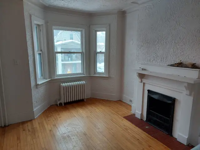 3 Bedroom Sandy Hill Apartments for Rent (Somerset/Blackburn) - Photo 2