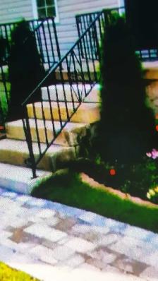 West Hamilton Room for Rent