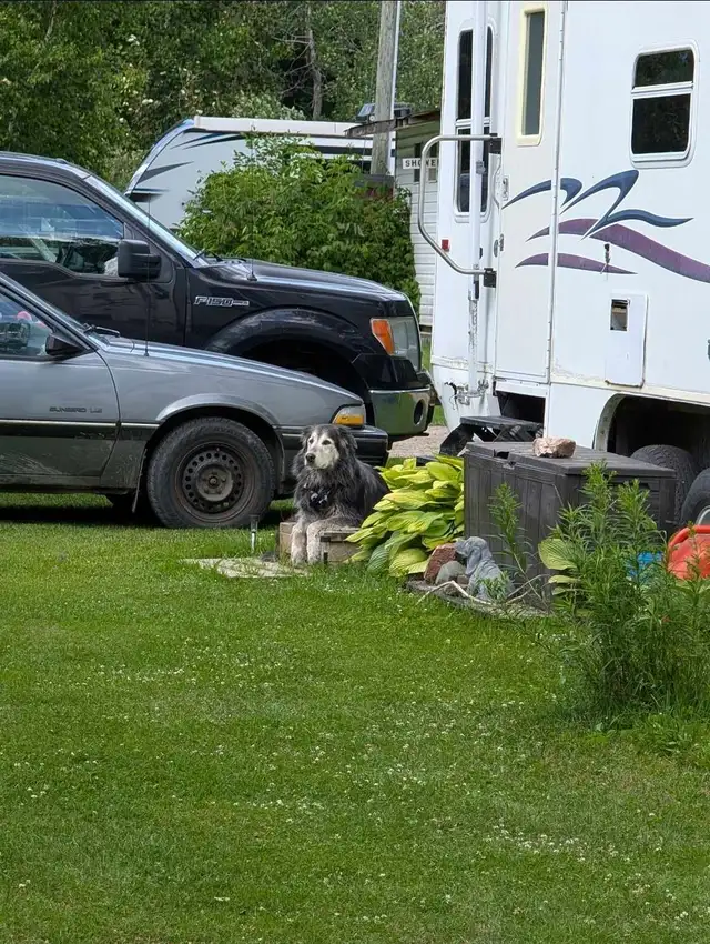 29'  5th wheel camper - Photo 3