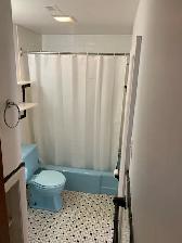 1 Bedroom Centretown Apartment for Rent (192 Somerset St W) - Photo 2