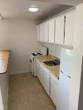 1 Bedroom Centretown Apartment for Rent (192 Somerset St W) - Photo 7