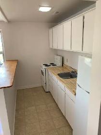 1 Bedroom Centretown Apartment for Rent (192 Somerset St W) - Photo 8