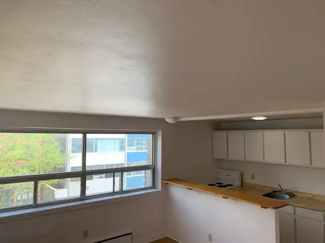 1 Bedroom Centretown Apartment for Rent (192 Somerset St W) - Photo 9