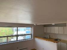 1 Bedroom Centretown Apartment for Rent (192 Somerset St W) - Photo 9