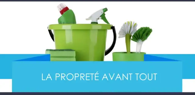 FEMME DE MÉNAGE-ENTRETIEN MÉNAGER