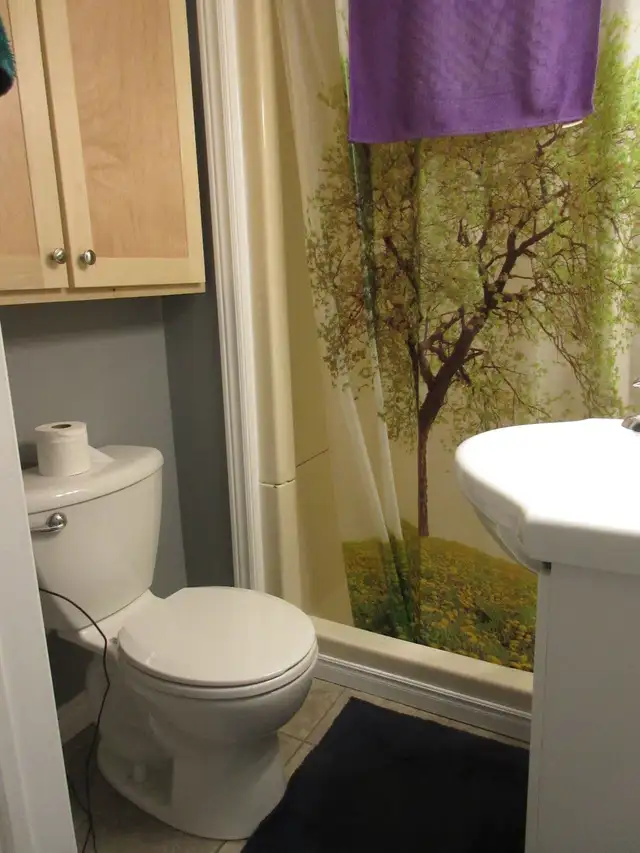 EXTREMEL UNIQUE.  FULLY SEPARATE Detached House! (Bachelor) - Photo 5