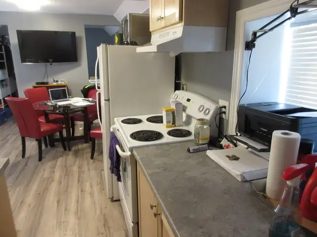 EXTREMEL UNIQUE.  FULLY SEPARATE Detached House! (Bachelor) - Photo 7