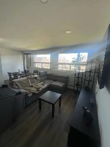 Magnifique 4 1/2 á Dollard-des-Ormeaux -moderne et Lumineux