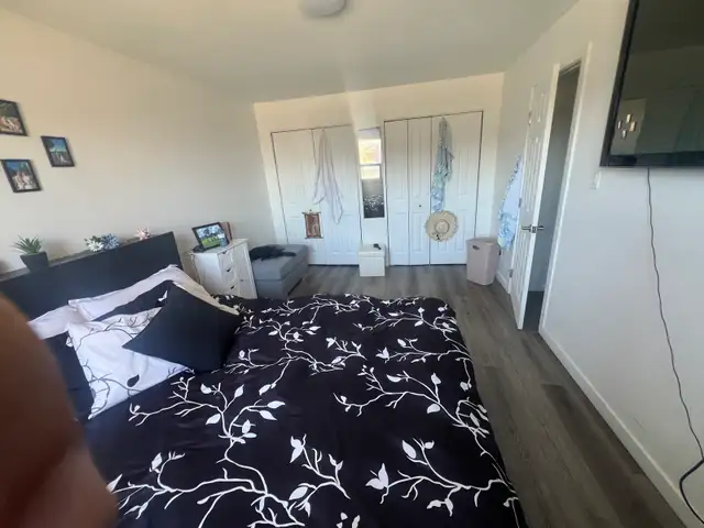 Magnifique 4 1/2 á Dollard-des-Ormeaux -moderne et Lumineux - Photo 5