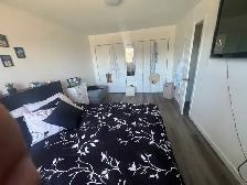 Magnifique 4 1/2 á Dollard-des-Ormeaux -moderne et Lumineux - Photo 5