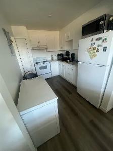 Magnifique 4 1/2 á Dollard-des-Ormeaux -moderne et Lumineux - Photo 6