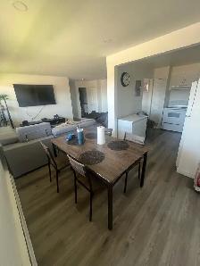 Magnifique 4 1/2 á Dollard-des-Ormeaux -moderne et Lumineux - Photo 8