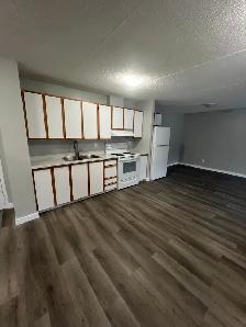 2 Bedroom available mid May in the Minnow Lake area