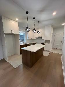 41/2, Neuf, Grand et Luxueux près de l’hôpital de St-Hyacinthe