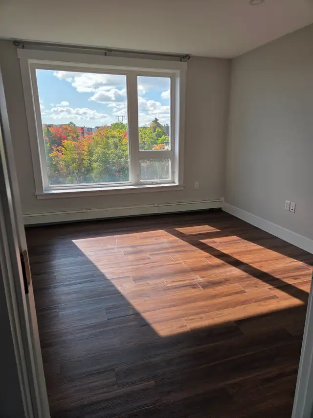 3 Bedroom Corner Unit on Broad Street available JULY 1 - Photo 6