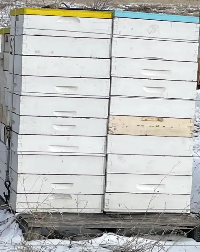 Bee Hive Top Feeders for Sale - Photo 2