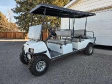 Limo Gas Golf Cart (6 seater)