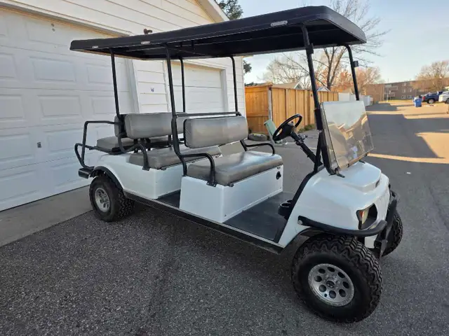 Limo Gas Golf Cart (6 seater) - Photo 4