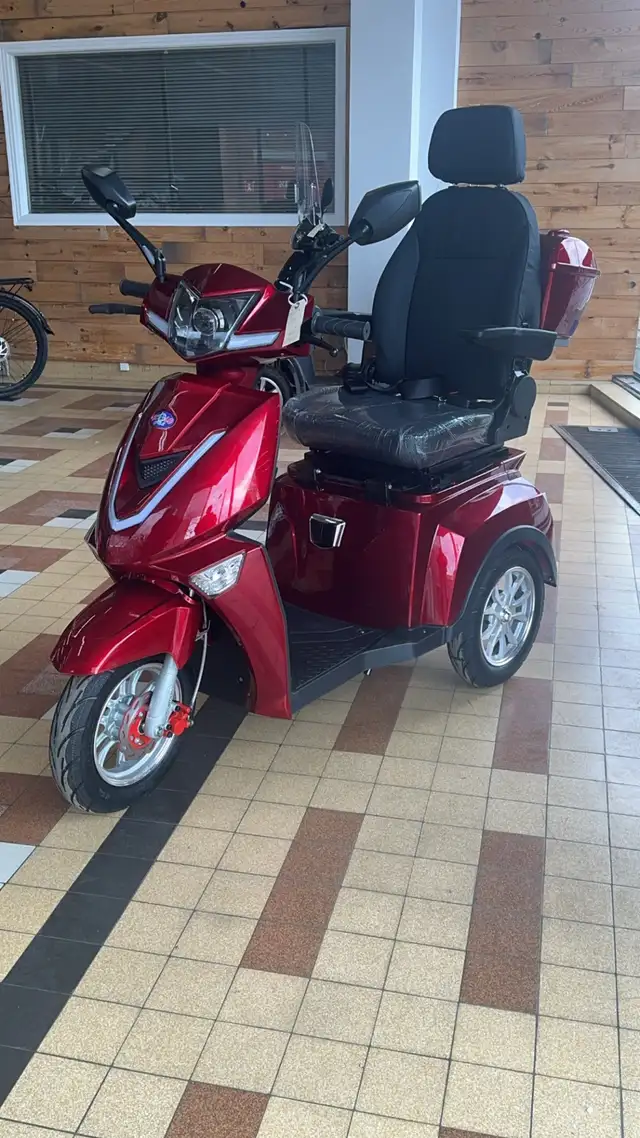 TRIPORTEUR ET3 LX - Photo 2