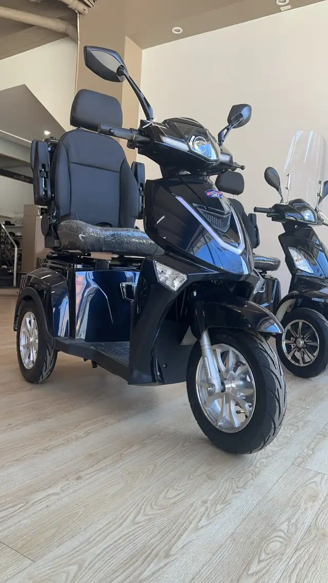 TRIPORTEUR ET3 LX - Photo 4