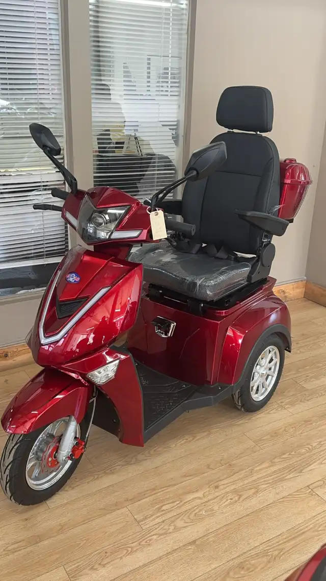 TRIPORTEUR ET3 LX - Photo 5