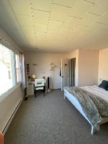 Summer Sublet Available - May 1-August 31 - 224 Collingwood St. - Photo 3