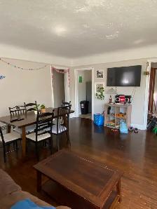 Summer Sublet Available - May 1-August 31 - 224 Collingwood St. - Photo 5