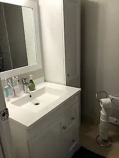 Big 6 1/2 in Île Bizard- with a basement - Photo 4