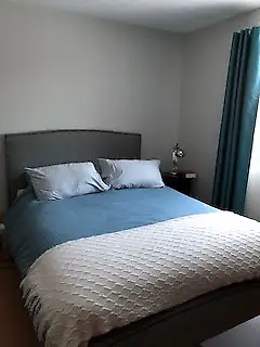 Big 6 1/2 in Île Bizard- with a basement - Photo 6