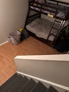 Big 6 1/2 in Île Bizard- with a basement - Photo 7