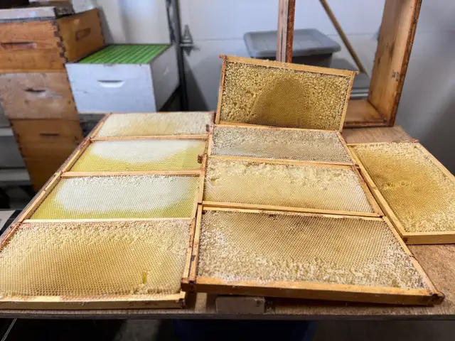 Bee Hive Honey Boxes/Supers for Sale - Photo 5