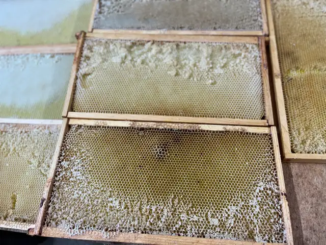 Bee Hive Honey Boxes/Supers for Sale - Photo 6