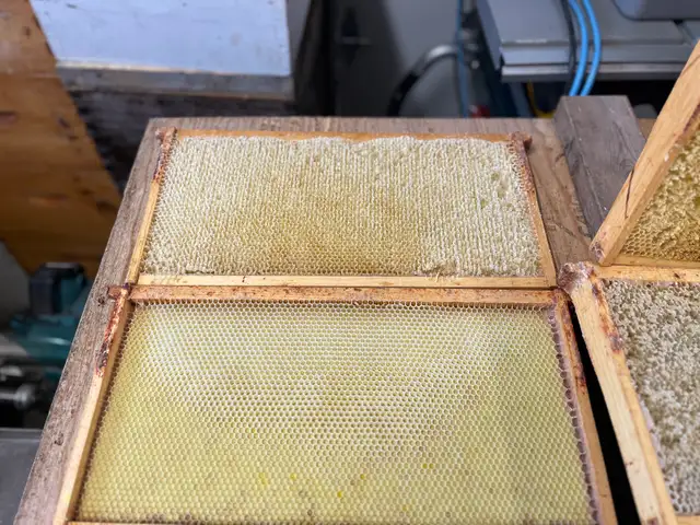 Bee Hive Honey Boxes/Supers for Sale - Photo 7