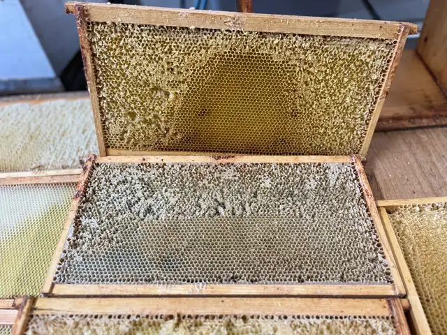 Bee Hive Honey Boxes/Supers for Sale - Photo 8
