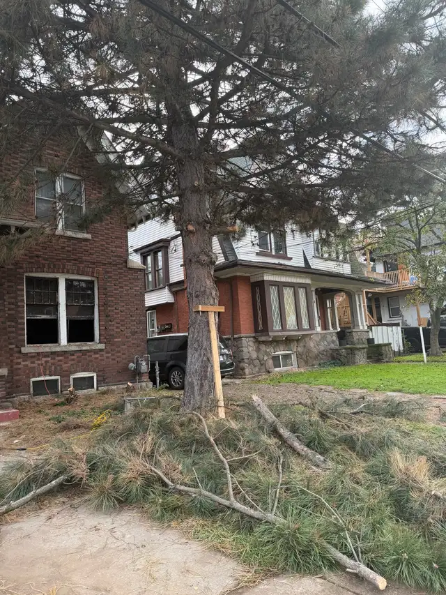 Painter / Demolition / Concrete Work – Toronto GTA – Free Est - Photo 5