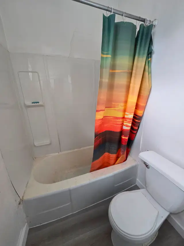 1 bedroom apartment on Selkirk Ave - Photo 6